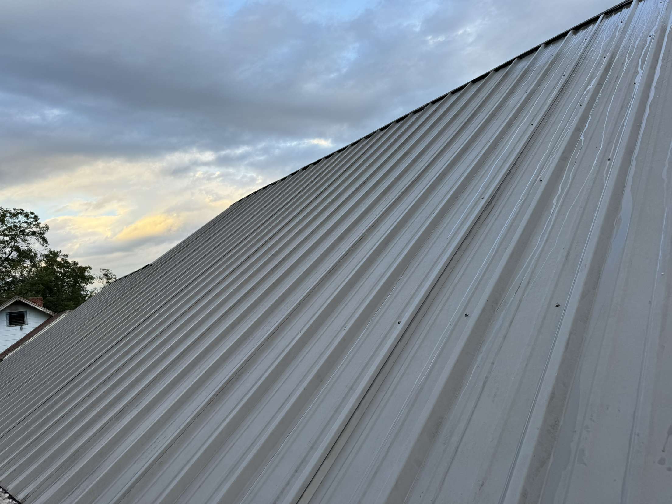 Clean Roof